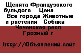 Щенята Французского бульдога. › Цена ­ 45 000 - Все города Животные и растения » Собаки   . Чеченская респ.,Грозный г.